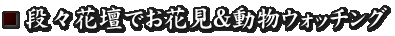 段々花壇でお花見＆動物ウォッチング