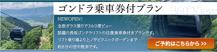 ゴンドラ乗車券付プラン